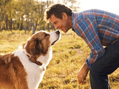 15 películas de perros en Netflix