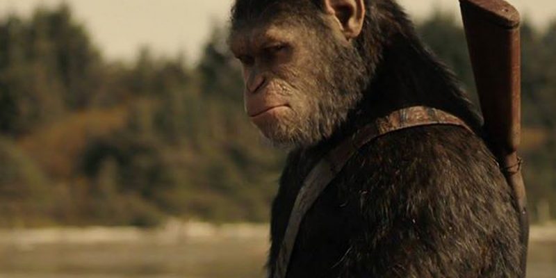 La guerra del planeta de los simios (2): La humanidad como algo que hay que humanizar