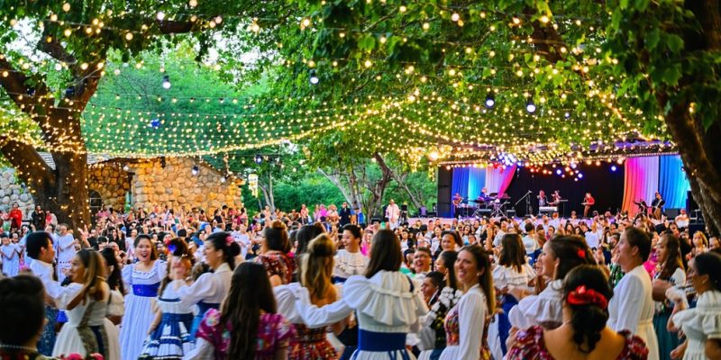 Festival Alerce Milenario